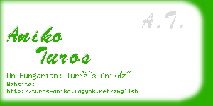 aniko turos business card